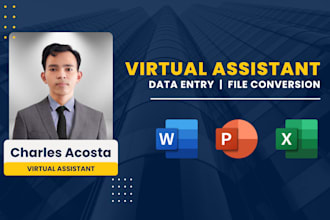 do efficient data entry, file conversion, and VA tasks
