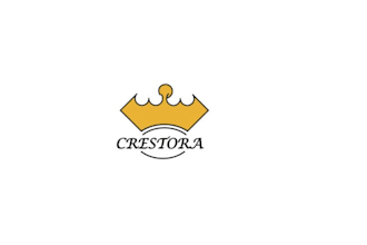 create minimalist and amazing crown logo design