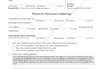draft family law documents divorce, custody, support
