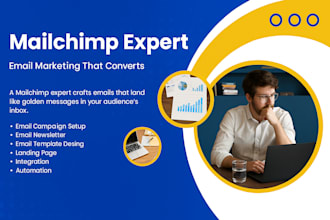 mailchimp campaigns and automation expert