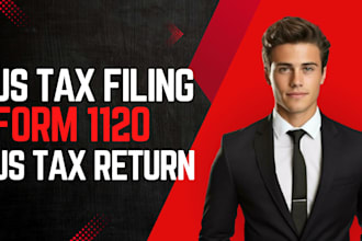 prepare and e file US tax filing 1120 and 5472 llc business tax return, CPA