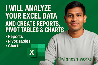 clean and analyze your excel or CSV data ,charts  ,pivot table