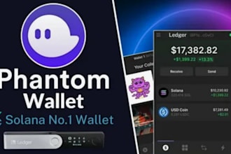 integrate phantom wallet,wallet adapter and solana features to your website