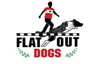 design amazing dog agility business logo