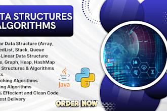 assist you with data structure and algorithm projects
