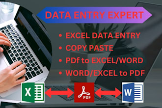 help you with data entry, copy paste  and convert image to PDF