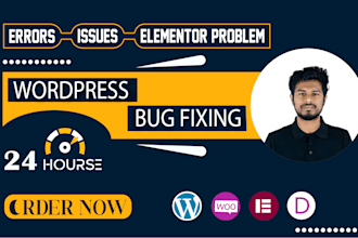 fix wordpress website errors, issues ,elementor problem in 24 hours