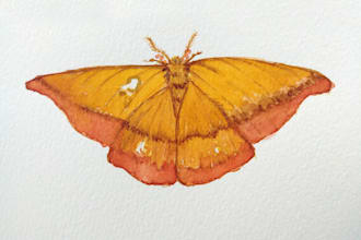 draw watercolor animals and plants