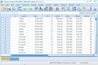 do spss data analysis with report apa style