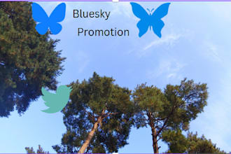 organic grow and promote your bluesky account