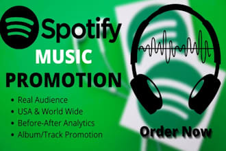 do best spotify album promotion, spotify music promotion with ads campaign