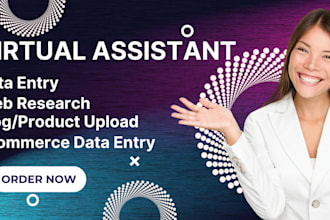 be your personal administrative virtual assistant and web researcher