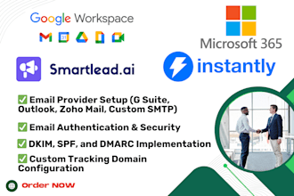 fix and setup smartlead ai or instantly ai for cold email outreach
