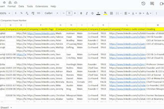 lead generation expert b2b sales email leads