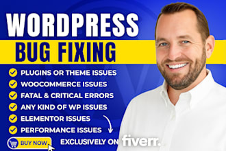 fix wordpress bug, issues, plugin errors, woocommerce, elementor and more fast