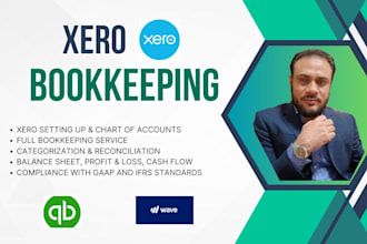 provide professional xero bookkeeping services for small business