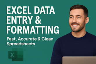 do accurate excel data entry, cleaning, and formatting