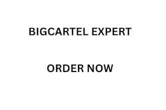 design and setup a professional big cartel store