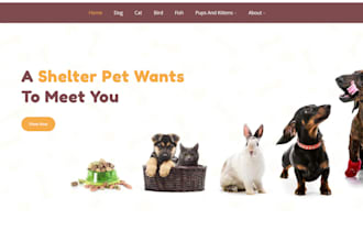 setup custom shopify store for pet supplies and accessories
