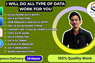 do accurate and fast data entry for you with big, small data