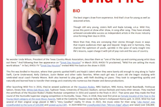 write or refine your artist bio or about section