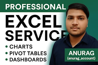 create professional excel, charts, pivot table, dashboards