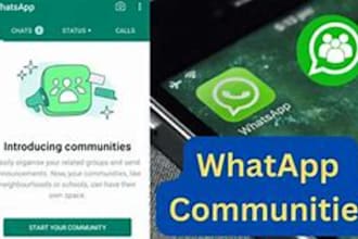 create whatsapp community, whatsapp group boost sale, whatsapp green tick