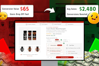 audit your website or shopify store for conversion optimization