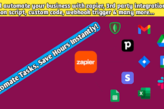 expert automation developer zapier automation ai automation python script bot