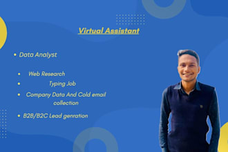 provide professional, online research, data entry and file conversion
