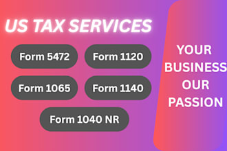 prepare and file US tax returns for individuals and business