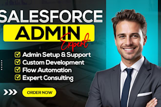 provide salesforce admin, developer, flow, and consultant services