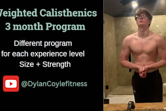 share with you a 3 month weighted calisthenics program