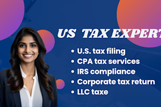efile USA llc income tax return corporate taxes as cpa