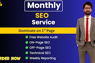 provide complete monthly SEO service, complete package of optimization