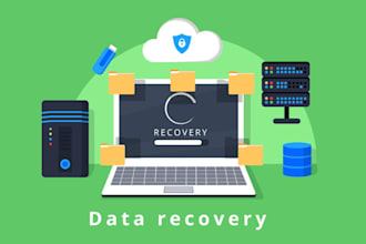 provide data recovery, dfir, and image, video, audio forensics