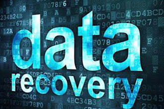 deliver specialized digital forensics and data recovery solutions