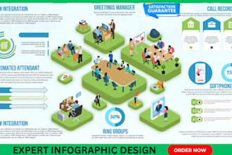 illustrate professional and unique infographic design
