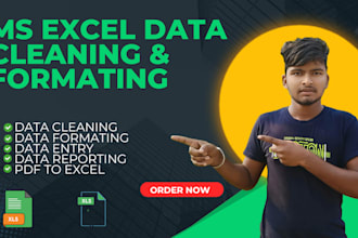 do excel charts, pivot table, data cleaning, PDF to excel