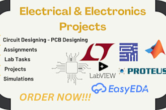 do electrical and electronics engineering assigned, tasks and projects