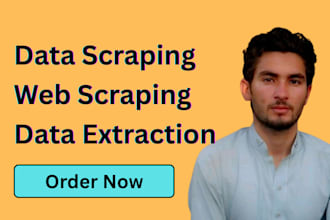 do web scraping and data extraction in 24 hours