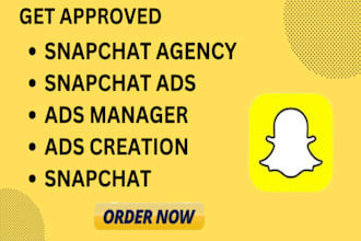 create approved snapchat agency account, snapchat ads, show portal, campaign ads