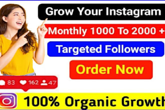 promote fast instagram organic growth to increase followers and engagement