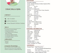 design a professional and modern resume in ms ward or PDF