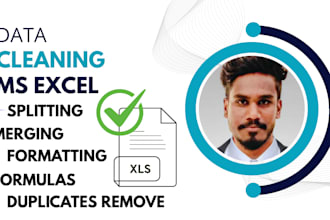 do excel data cleaning, formatting, formulas, data split