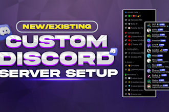 setup new and existing professional discord server