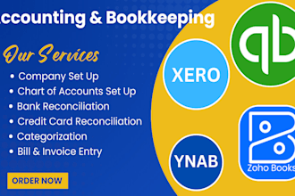 provide bookkeeping services in qbo, xero, zoho books, excel