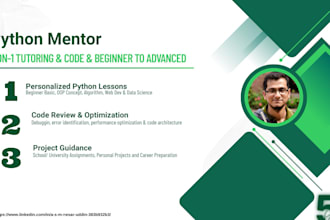 your python mentor 1 on 1 tutoring and code reviews