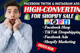 run high converting facebook, instagram and tiktok ads for your shopify store