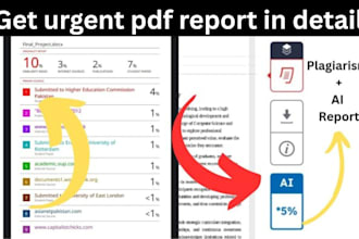 provide plagiarism reports and ai check in 5 minutes